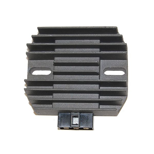 Regolatore di carica ElectroSport ESR 269
