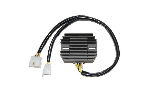 ElectroSport Laderegler ESR 296