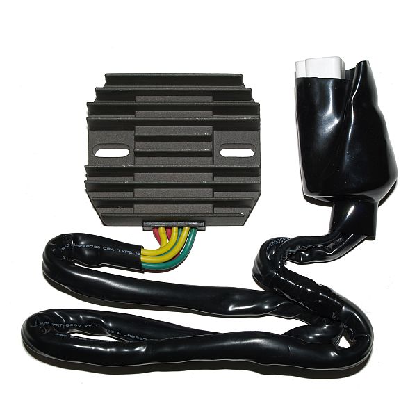 Régulateur de charge ElectroSport ESR 431