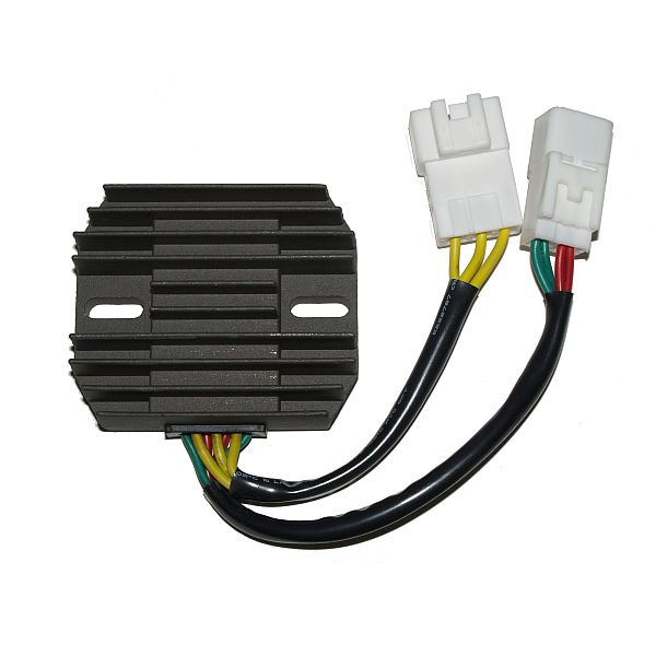 Regolatore di carica ElectroSport ESR 439