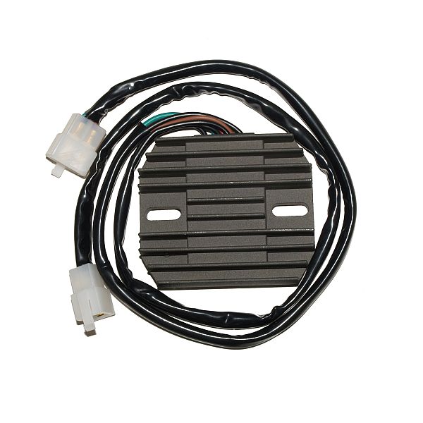 ElectroSport Laderegler ESR 448
