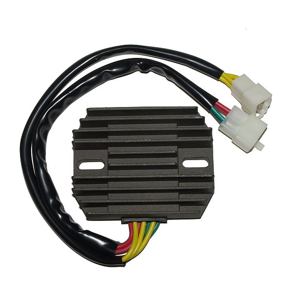 Regolatore di carica ElectroSport ESR 531
