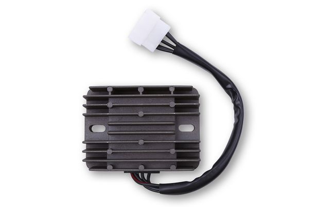 ElectroSport Laderegler ESR 547