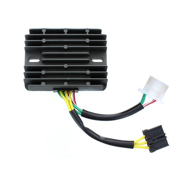 Régulateur de charge ElectroSport ESR 549