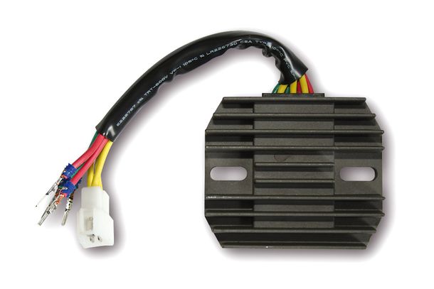 Regolatore di carica ElectroSport ESR 555
