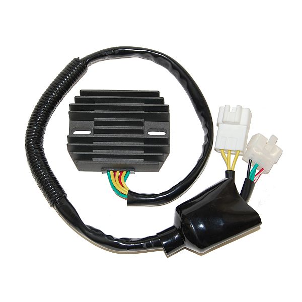 Regolatore di carica ElectroSport ESR 685