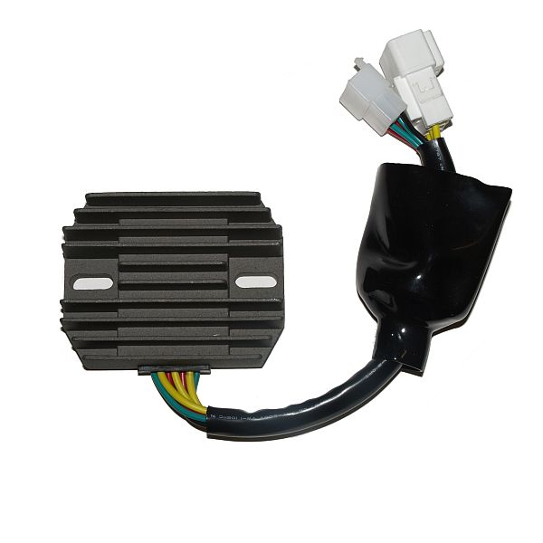 Regolatore di carica ElectroSport ESR 691