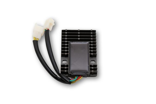 ElectroSport Laderegler ESR 921