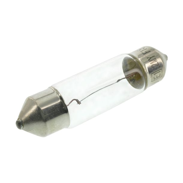 GLUEWO feston 12V 5W - dimension: 11x36mm - socket S8,5