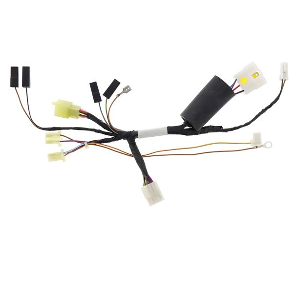 Kabelbaum Elektrikbox