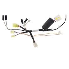 Kabelboom voor elektriciteitskast