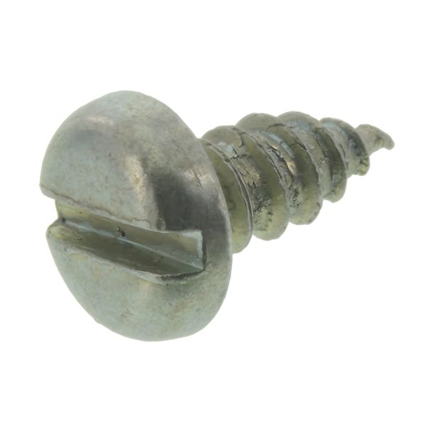 Cilindro - tornillo roscado ranurado C4.2x9.5-ST-A4K (DIN 7971)