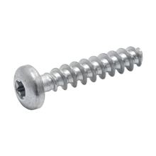 PT screw 6x30-A4K