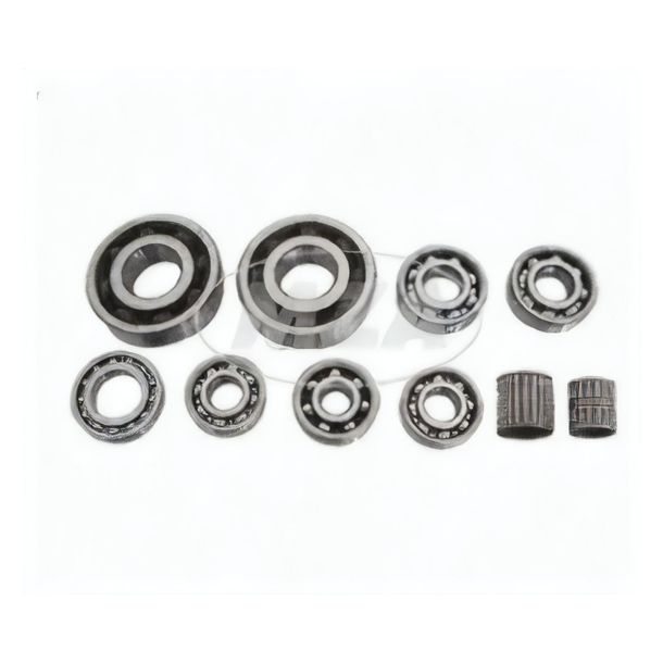 Rodamientos de bolas MZ SET SKF - para motor MM250/4, TS250/1 - 10 piezas