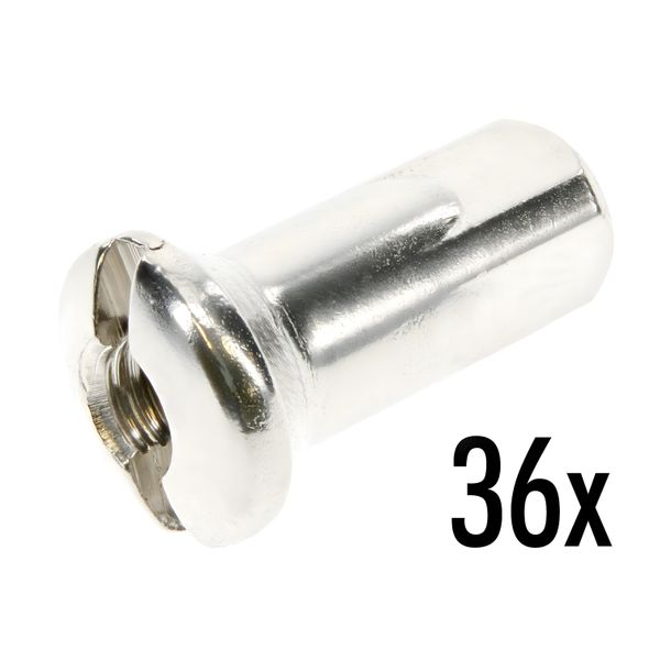 Set Speichennippel M3,5, vernickelt, 36x