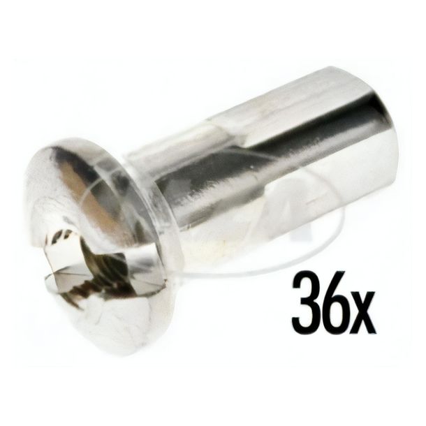 MZ Simson set nippli per raggi M3, 36x, cromati, ad es. per SR1, SR2, KR50, SR2E, RT125