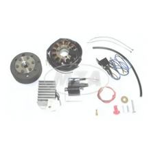 MZ Lichtmagnetzündanlage 12V 100W mit integrierter vollelektronischer Zündung für RT125