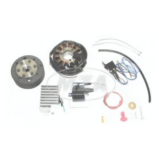 MZ Lichtmagnetzündanlage 12V 100W mit integrierter vollelektronischer Zündung für ES125, 150, ETS125, 150, TS125, 150
