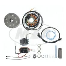 Lichtmagnetzündanlage 12V / 180W, DC für Yamaha DT1 / 2 / 3, RT1 / 2 / 3, DT250 / 360 / 400, TY250, YZA250