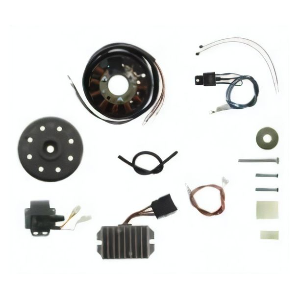 Simson Lichtmagnetzündanlage 6V 75W Gleichstrom mit integrierter vollelektronischer Zündung für Roller Ludwigsfelde (Pitty, SR56, SR59, TR150)