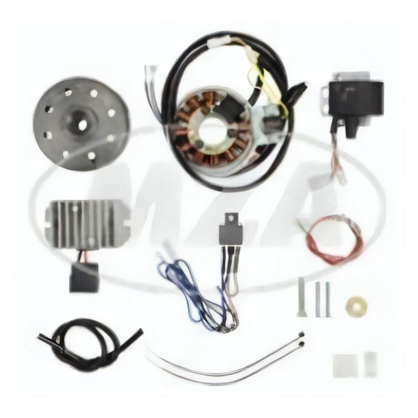 MZ Lichtmagnetzündanlage 6V 100W mit integrierter vollelektronischer Zündung für ES175-300 / 0 / 1 / 2 und ETS250