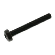 Linsenschraube M6x45-5.8-A4R (DIN 7985) - Kreuzschlitz Phillips PH - schwarz verzinkt