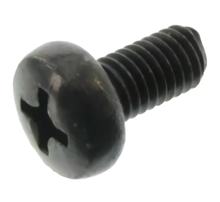 Linsenschraube M5x10-4.8-A4R (DIN 7985) - Kreuzschlitz Phillips PH - schwarz verzinkt