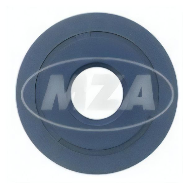 Wellendichtring LYO 25x72x07