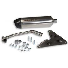 Échappement Malossi RX homologué pour Aprilia Scarabeo Light 300i E3 Année de fabrication 2009-2010