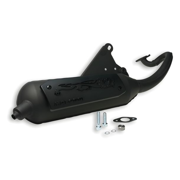 Malossi Wild Lion Exhaust for Big Max year 2001