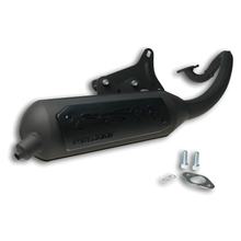 Échappement Malossi Wild Lion avec homologation pour Flipper 50 Année de fabrication 2000
