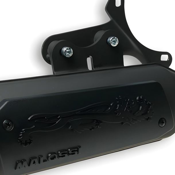 Auspuff Malossi Wild Lion für SR50 Street Bj. 2007 / Scarabeo Bj. 2006-07 / Runner 2002-04 – Bild 3