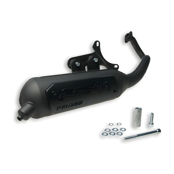 Auspuff Malossi Wild Lion für SR50 Street Bj. 2007 / Scarabeo Bj. 2006-07 / Runner 2002-04 – Bild 1