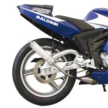 Auspuffanlage Malossi GP MHR Trophy für RS50 Bj. 1999-2005 / Tuono Bj. 2003-04