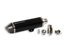 Système d'échappement Malossi Maxi Wild Lion pour Piaggio MP3 500i E4 Année de construction 2017-18