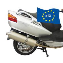 Système d'échappement Malossi Maxi Wild Lion avec homologation pour Suzuki Burgman 650i E2 Année de fabrication 2003-04