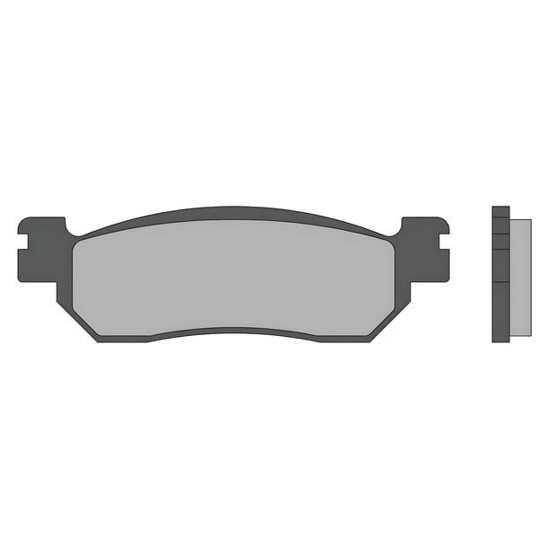 Pastiglie Freno Malossi Sport FT3022