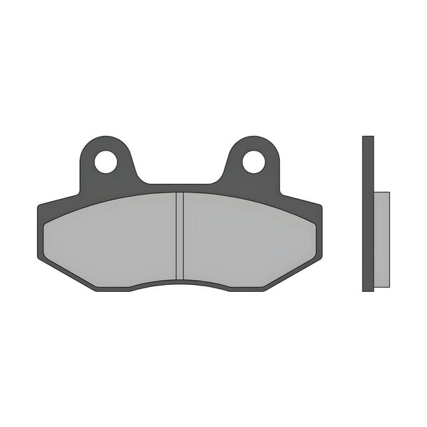 Pastiglie Freno Malossi Sport FT3069