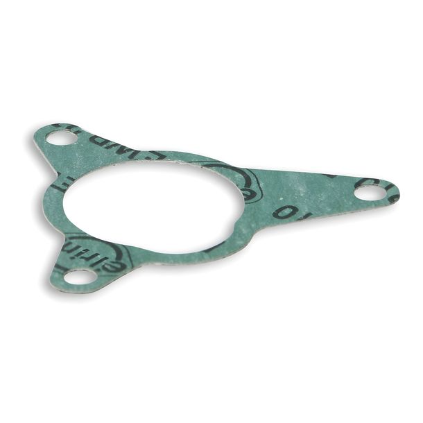 Dichtung Malossi für Pumpe LC MG2