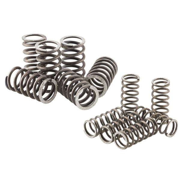 Kupplungsfedern Malossi, 12 Stück für Piaggio Ape FL / Vespa PK FL / PK HP FL 50 / PK FL 125 – Bild 1