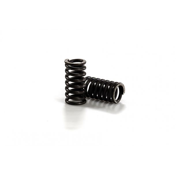 Molle frizione Malossi, 2 pezzi per Gilera 125