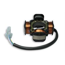 Encendido del alternador del estator Malossi VESpower para M5515475, M5515610, M5515660, M5515684, M5515702, M5516219