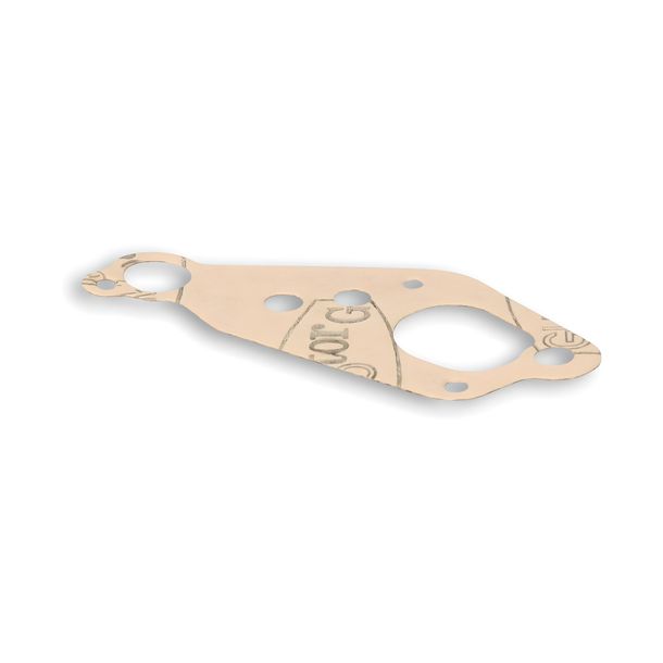 Malossi membraanafdichting voor Vespa PX E Cosa