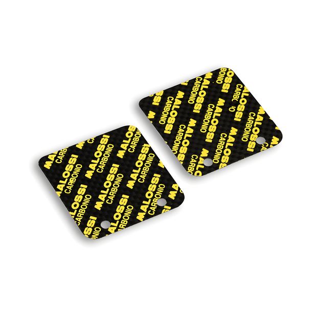 Plaques à membrane carbone Malossi 0,30 mm, 2 pièces pour VL18