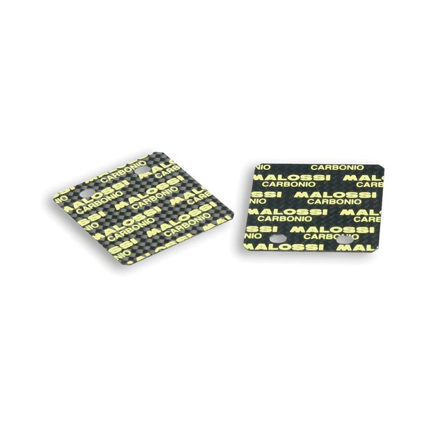 Membranplättchen Malossi Kohlenstoff 0,30mm, 45° MHR, 2 Stück