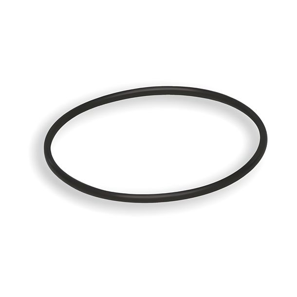O-Ring Malossi Ø 44,17x47,73x1,78mm für Zylinderkopf