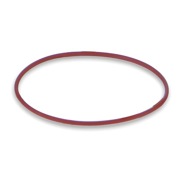 O-ring Malossi, diametro 44 x 1,5 mm
