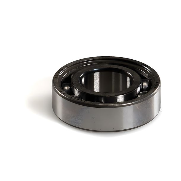 Radiallager Malossi Ø 20x42x12mm, STD