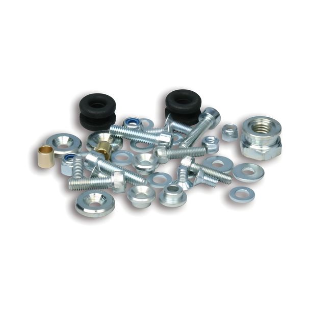 Malossi screw kit for VESpower MKII ignition M55169510, M55169520