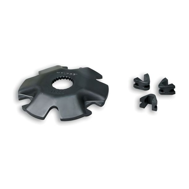 Steigscheibe Malossi für Multivar M5111298, M5111561